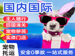 贡嘎机场物流国际宠物托运 【国